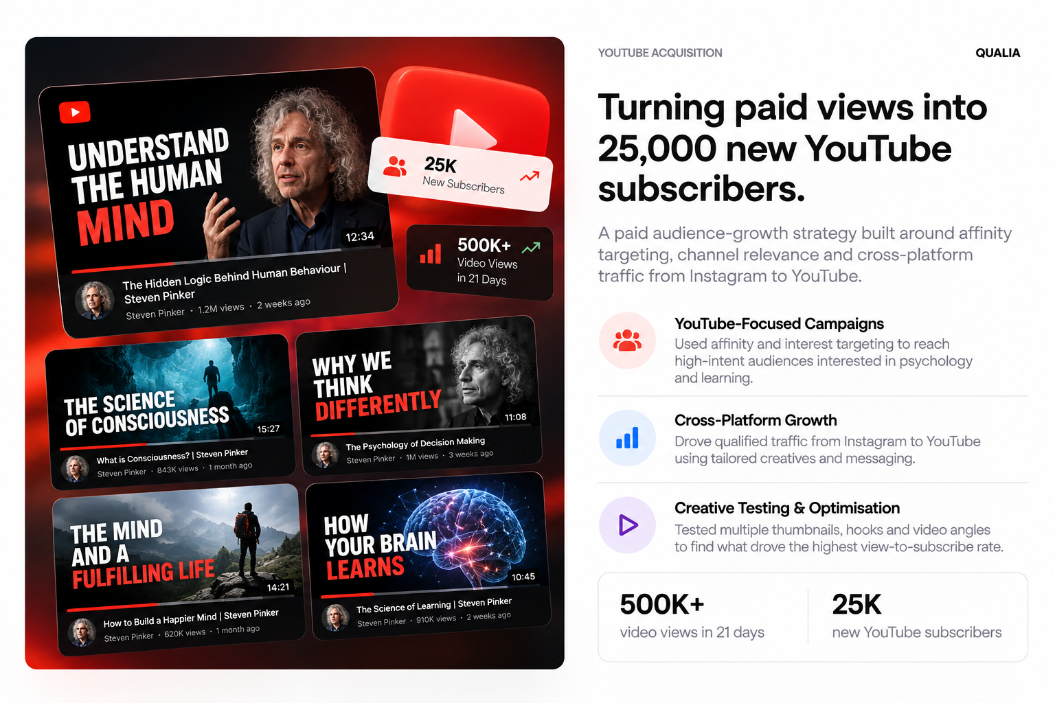 Qualia YouTube audience growth case study showing subscriber and view growth